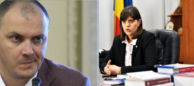 Acuzatii grave: “Sefa DNA si-a plagiat teza de doctorat”