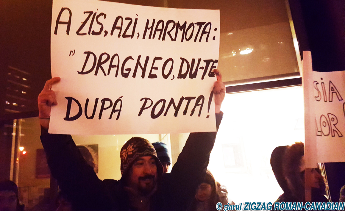 Protest Montreal_Foto ZigZag Roman Canadian (9)