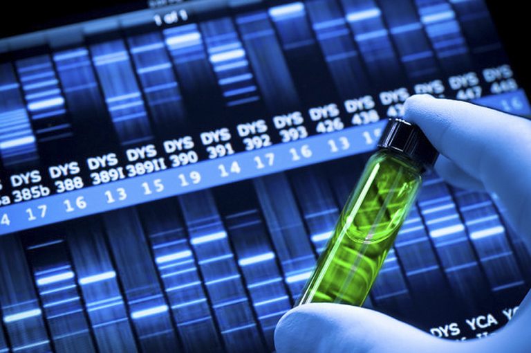 Inteligenta poate fi determinata prin test ADN