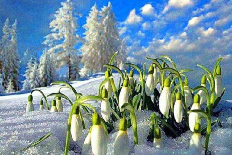 Traditii romanesti: 1 – 9 martie, Baba Dochia incepe sa-si dea jos cele noua cojoace