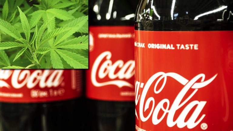 Coca-Cola, interesata de bauturile care contin CBD din canabis