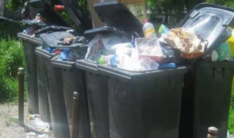 Canada si risipa de alimente: mai mult de jumatate din cele produse aici ajung la gunoi