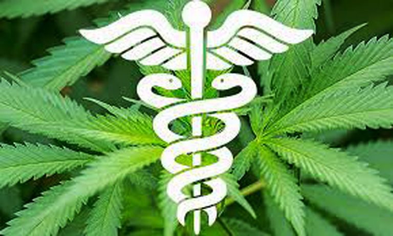 Canabisul medicinal ar putea fi introdus in Romania